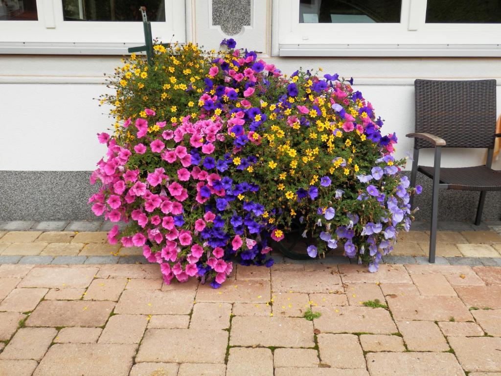 Haus Seebach Berwang Zewnętrze zdjęcie